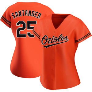 Anthony Santander Baltimore Orioles Youth Black Roster Name & Number  T-Shirt 